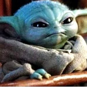 Meet your Posher, Austin